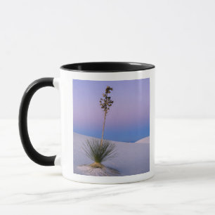 WHITE SANDS NATIONAL MONUMENT, NEW MEXICO. MUG