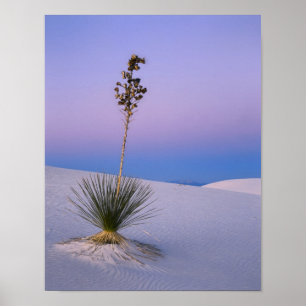 WHITE SANDS NATIONAL MONUMENT, NEW MEXICO. POSTER