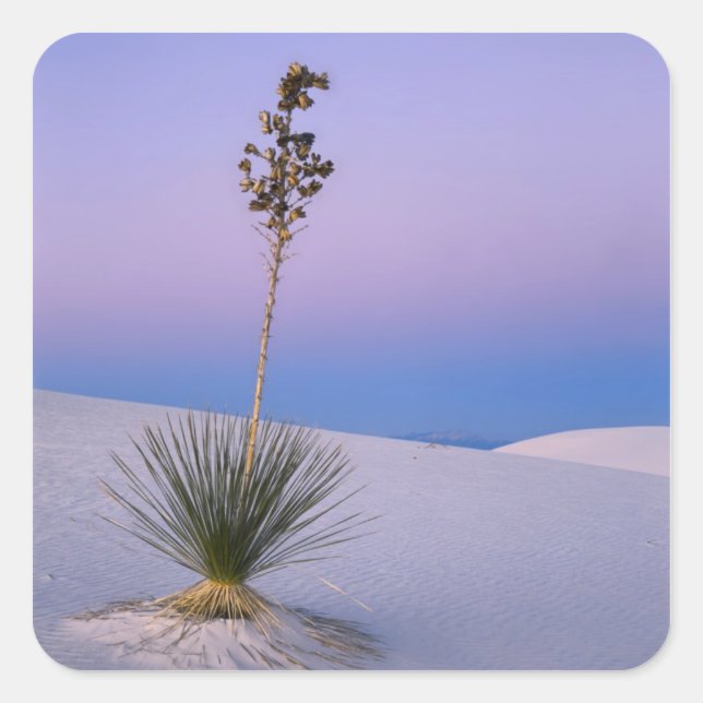 WHITE SANDS NATIONAL MONUMENT, NEW MEXICO. SQUARE STICKER (Front)