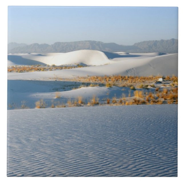 White Sands National Monument, Transverse Dunes Ceramic Tile (Front)