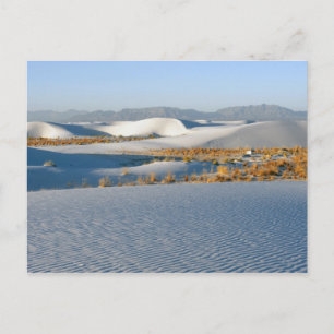 White Sands National Monument, Transverse Dunes Postcard