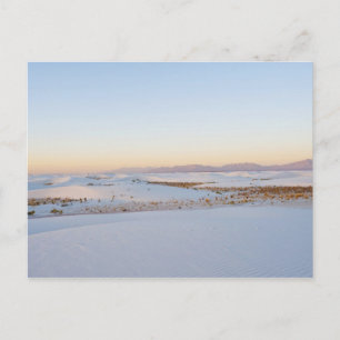 White Sands National Monument, Transverse Dunes Postcard