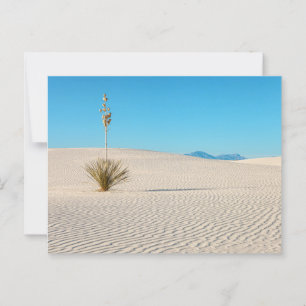 White Sands National Park Landscape and Yucca Postcard