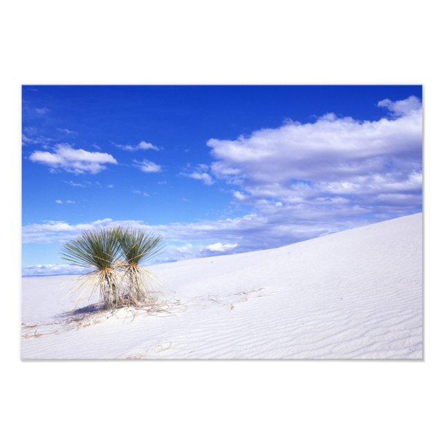 White Sands NM, New Mexico, USA Photo Print (Front)
