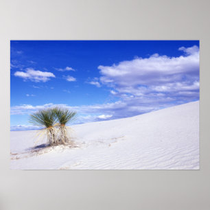 White Sands NM, New Mexico, USA Poster