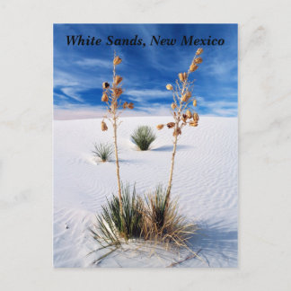 White Sands Postcard