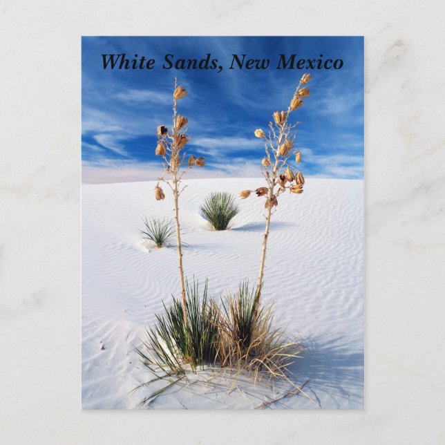 White Sands Postcard (Front)