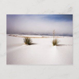 White Sands Postcard