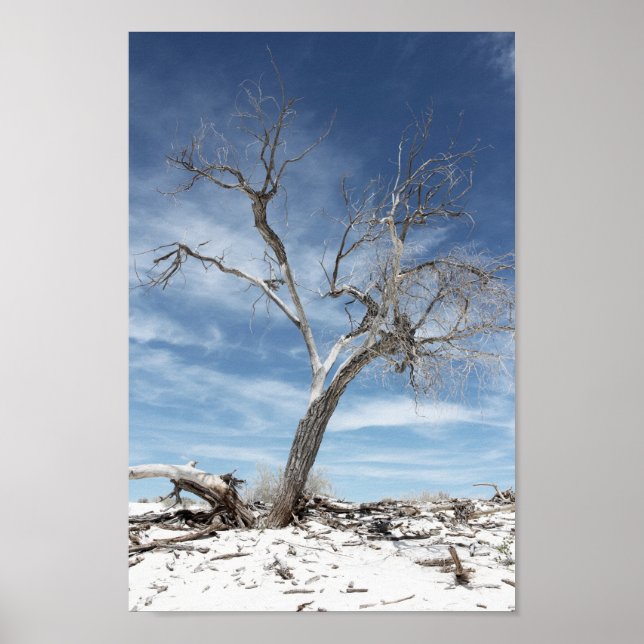 White Sands Zion National Park  Photo Poster (Front)
