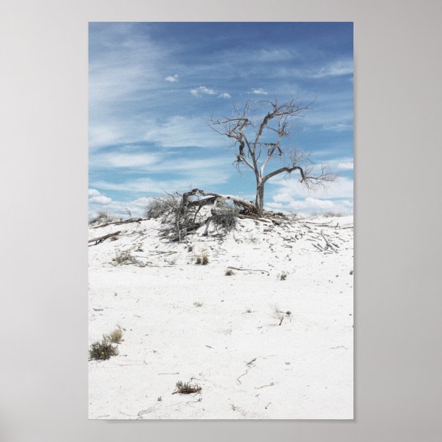 White Sands Zion National Park  Photo Poster (Front)