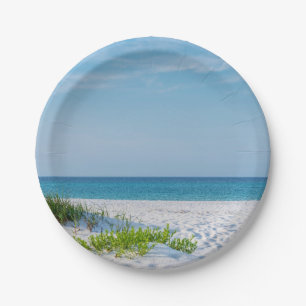 White Sandy Beach Florida Coastline Paper Plate