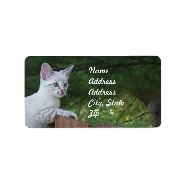 White Savannah Cat Address Sticker (Front)
