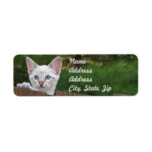 White Savannah Cat Return Address Sticker