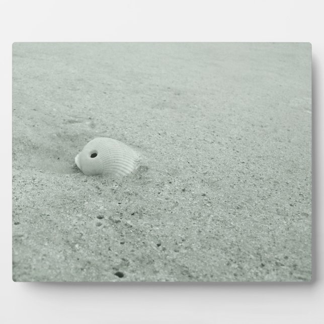White Sea Shell On Sandy Beach Plaque (Front)