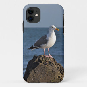 White seagull and ocean iPhone 11 case