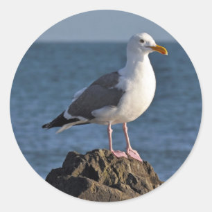 White seagull and ocean classic round sticker