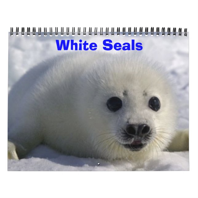 White Seals! Calendar (Cover)