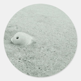 White Seashell On White Sandy beach Classic Round Sticker