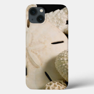 White Seashells And Sand Dollar iPhone 13 Case