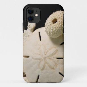 White Seashells And Sand Dollar iPhone 11 Case