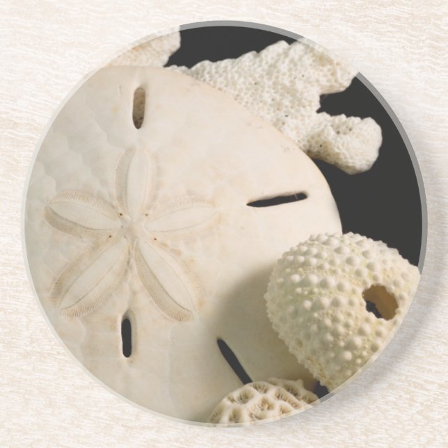 White Seashells And Sand Dollar Coaster (Front)