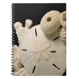White Seashells And Sand Dollar Notebook