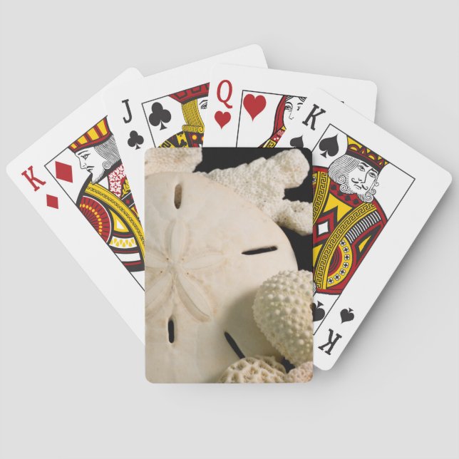 White Seashells And Sand Dollar Playing Cards (Back)