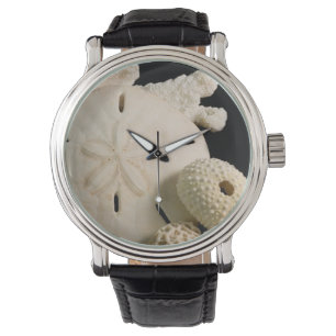 White Seashells And Sand Dollar Watch