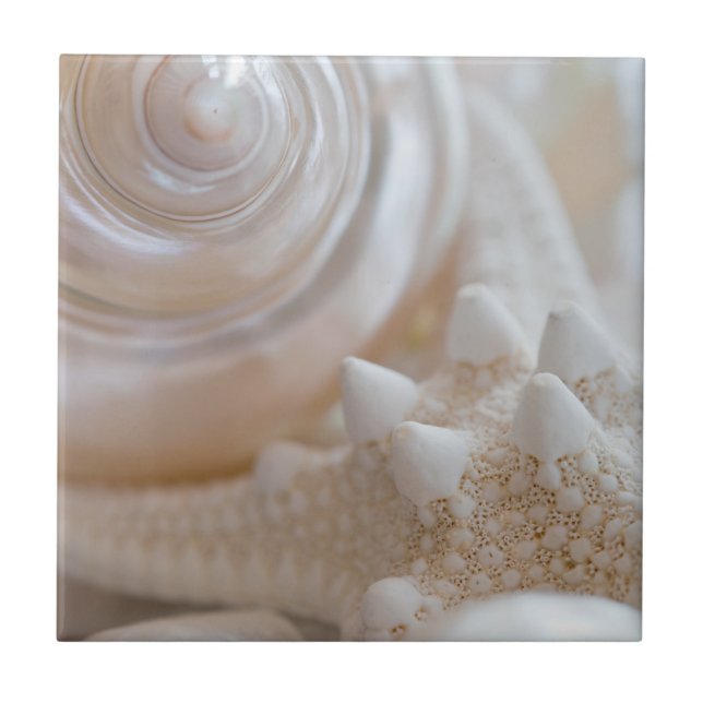 White Seashells Starfish Tropical Beach Sea Shells Ceramic Tile (Front)