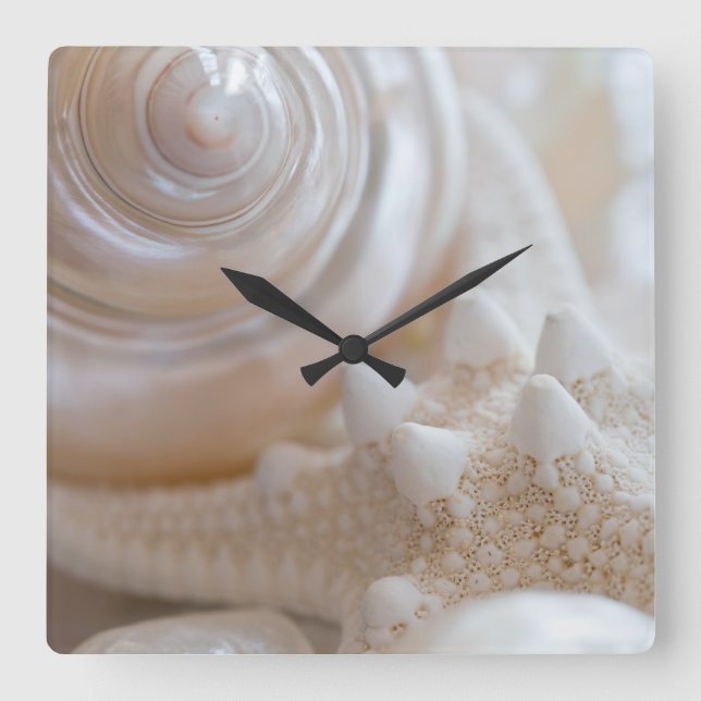 White Seashells Starfish Tropical Beach Sea Shells Square Wall Clock (Front)