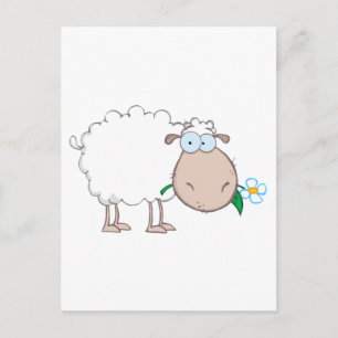 White Sheep Cartoon Character Eating A Flower Postcard