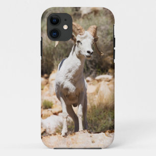 White Sheep Of The Family iPhone 11 Case