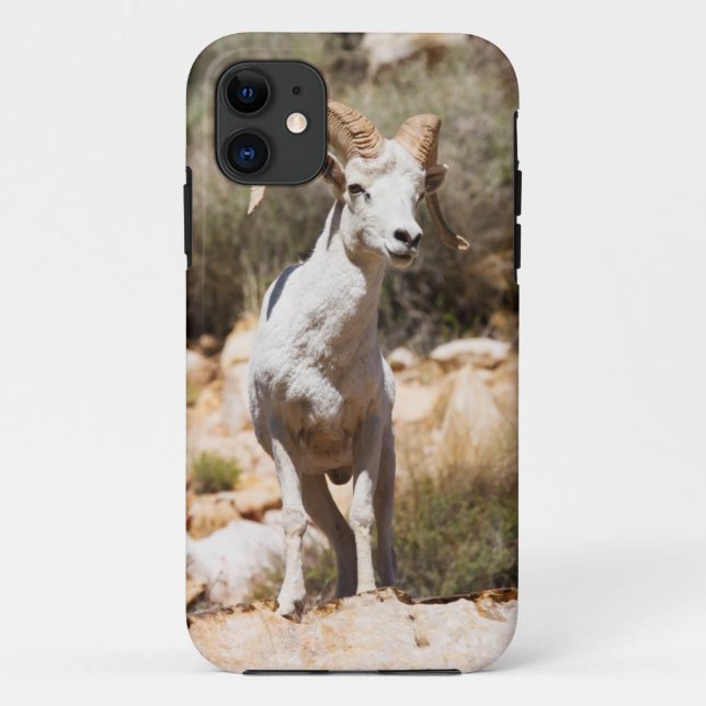 White Sheep Of The Family Case-Mate iPhone Case (Back)