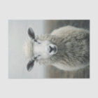 White Sheep Photo Decoupage