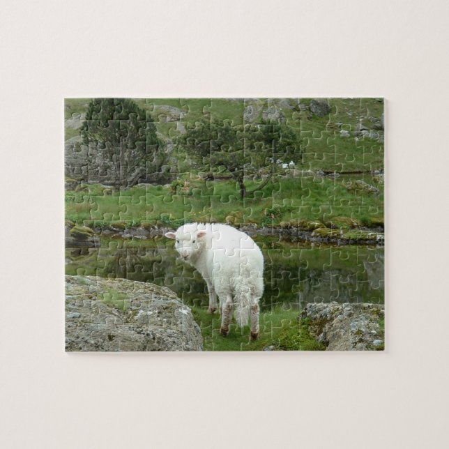 White Sheep, Wales & British Countryside Jigsaw Puzzle (Horizontal)