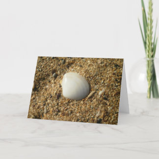 White Shell on the Beach Card