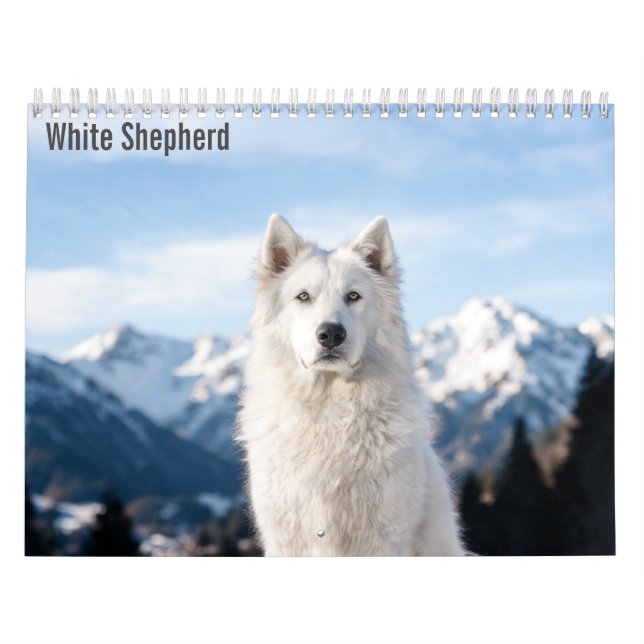 White Shepherd 2027 Calendar (Cover)