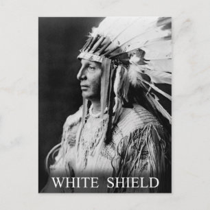White Shield - Arikara Native American Indian Postcard
