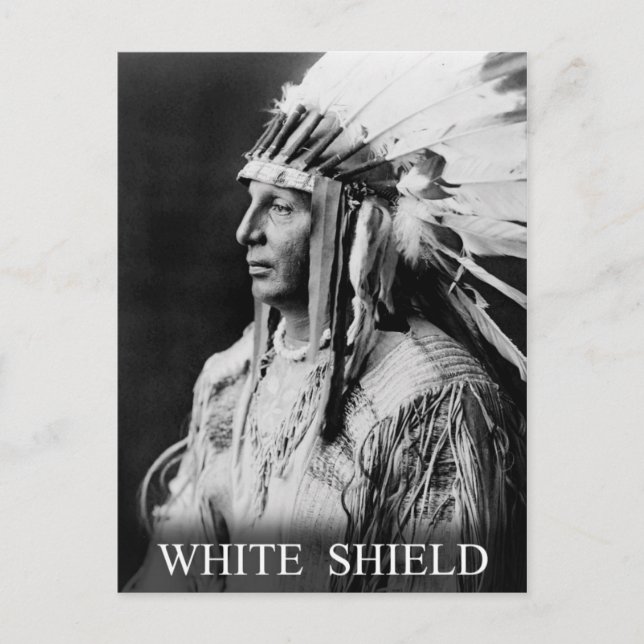 White Shield - Arikara Native American Indian Postcard (Front)
