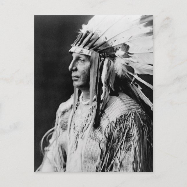White Shield - Arikara Native American Indian Postcard (Front)