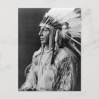 White Shield Postcard