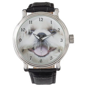 White shih tzu face watch