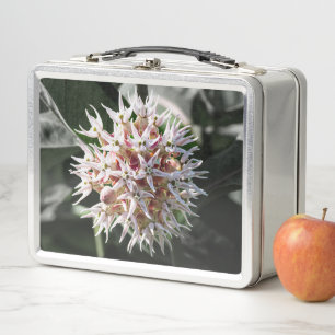 White Showy Milkweed, Delicate Wildflower Metal Lunch Box