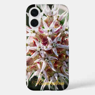 White Showy Milkweed – Nature Photography iPhone 16 Case