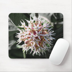 White Showy Milkweed, Wildflower Photography Mouse Pad