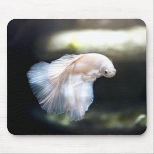 White Siamese Fighting Fish Mouse Pad