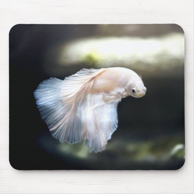White Siamese Fighting Fish Mouse Pad (Front)
