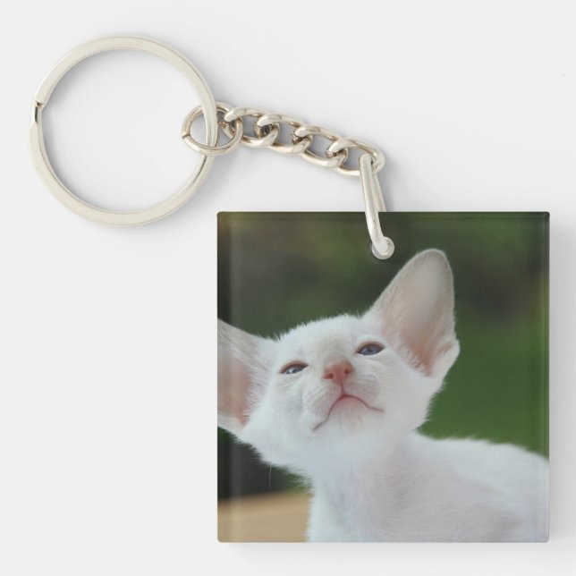 White Siamese kitten Key Ring (Front)