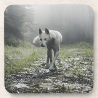 White Siberian Husky Beverage Coaster
