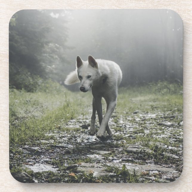 White Siberian Husky Beverage Coaster (Front)